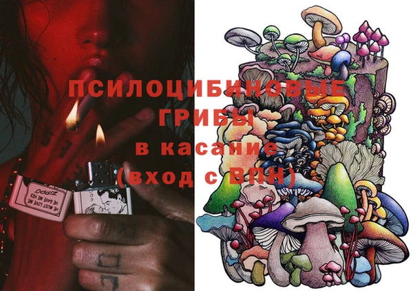 круглые Абаза